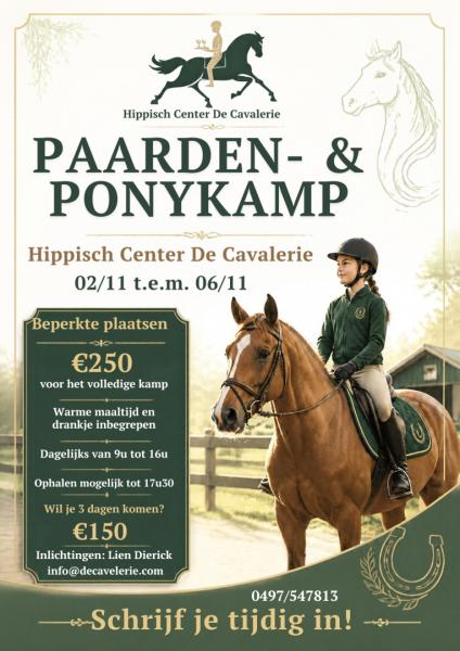 Paarden- en ponykamp flyer